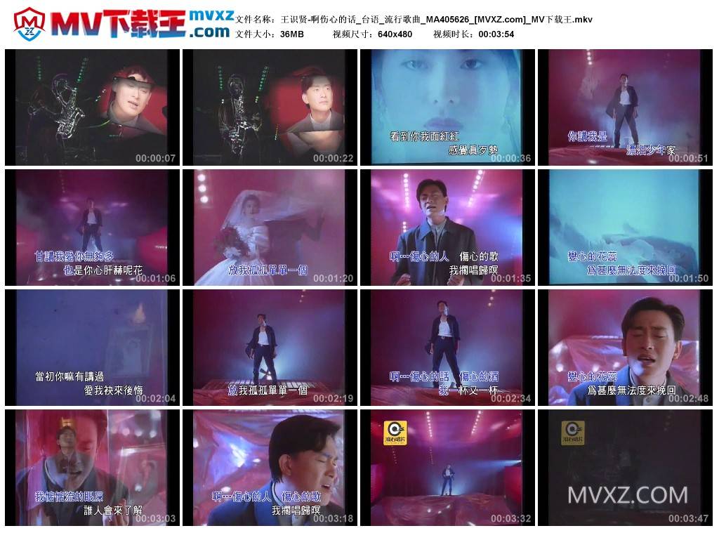 王识贤-啊伤心的话_台语_流行歌曲_MA405626